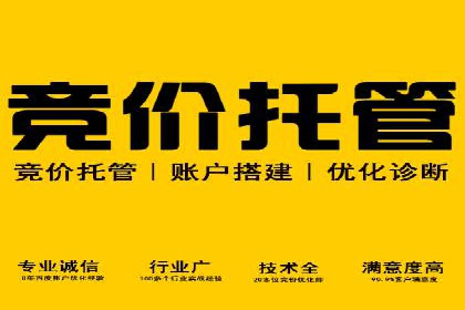 sem托管服务案例：如何实现广告投放效果最大化